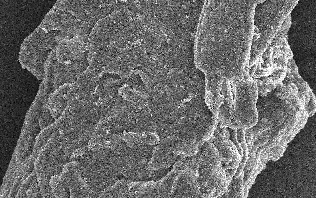 微晶纖維素?zé)o水磷酸氫鈣共處理物