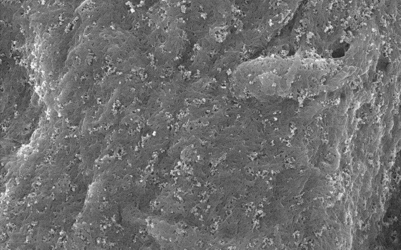 微晶纖維素膠態(tài)二氧化硅共處理物