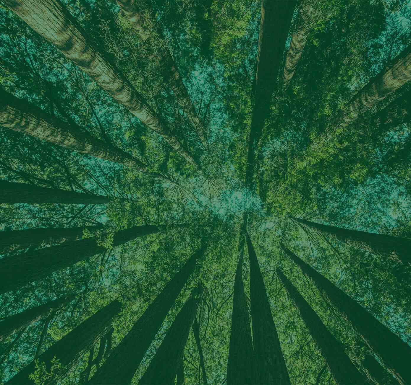 無(wú)銨低溫工藝MCC