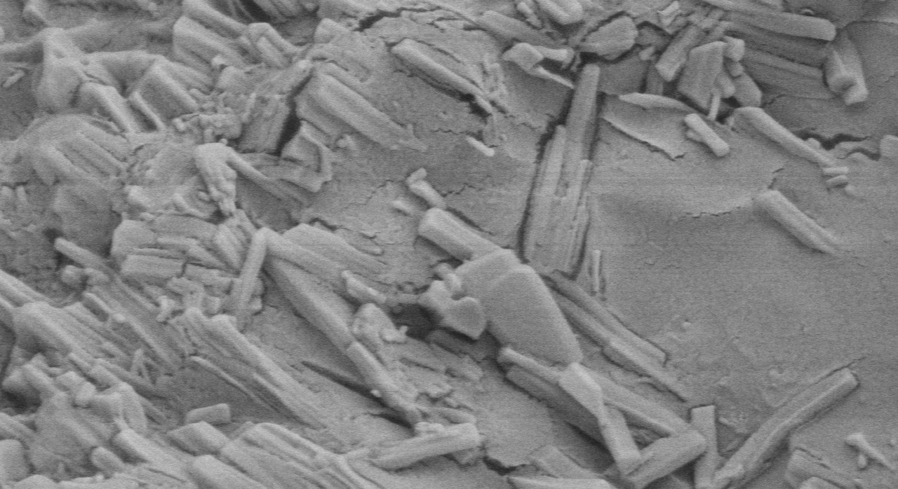 【登記號】乳糖微晶纖維素共處理物登記號公示