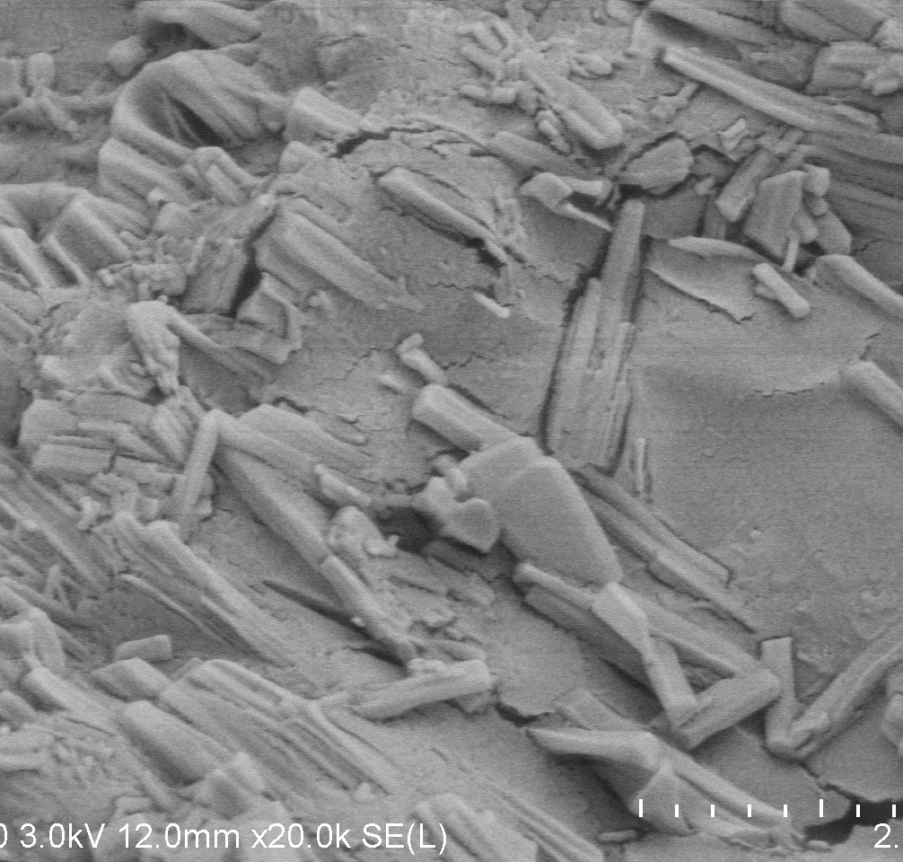 【登記號(hào)】乳糖微晶纖維素共處理物登記號(hào)公示