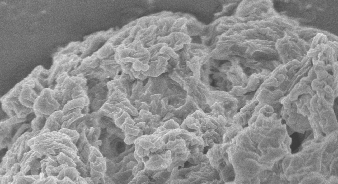 【登記號】硬脂酸鈣十二烷基硫酸鈉共處理物登記號已公示